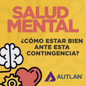 Recomendaciones para la Salud Mental