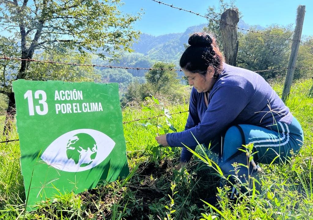 El impacto social de Autlán en la Sierra Alta de Hidalgo