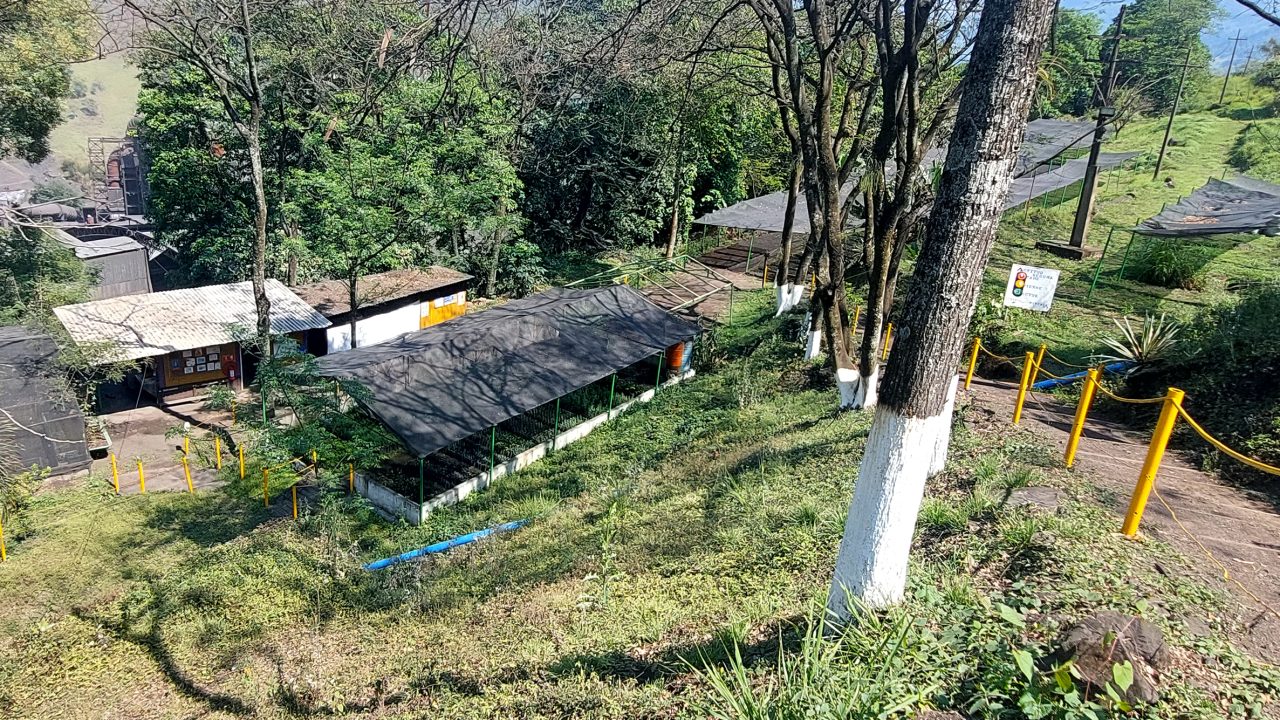 Vivero Autlán: Sembrando futuro en la Sierra Alta de Hidalgo